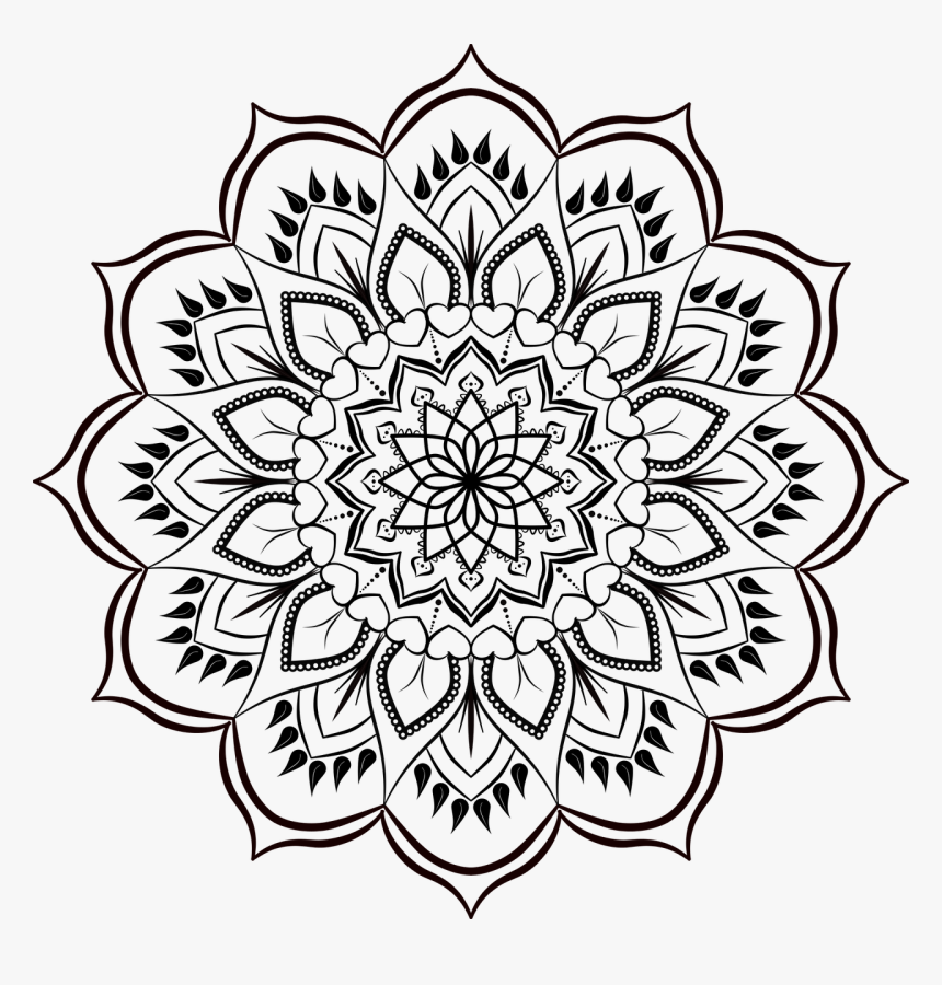Flower Black And White, HD Png Download