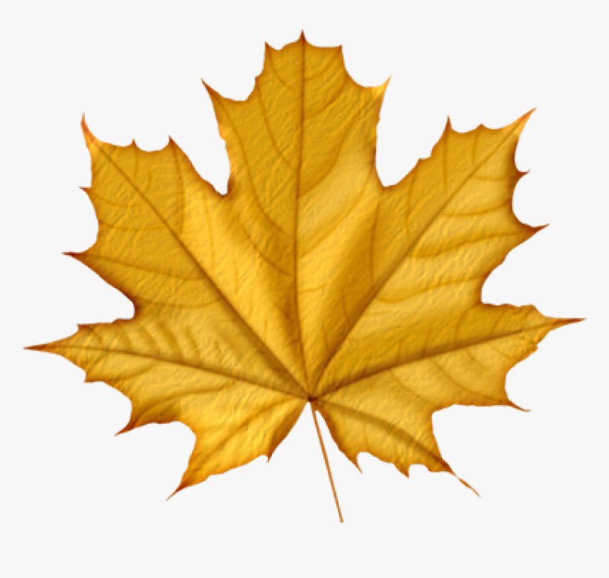 Green Autumn Leaves Png, Transparent Png