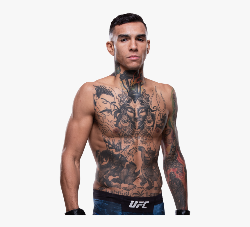 Transparent Chael Sonnen Png - Ufc Gloves, Png Download