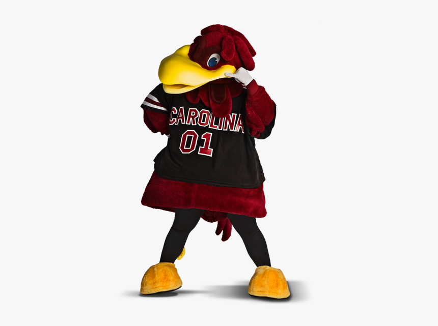 South Carolina Cocky, HD Png Download