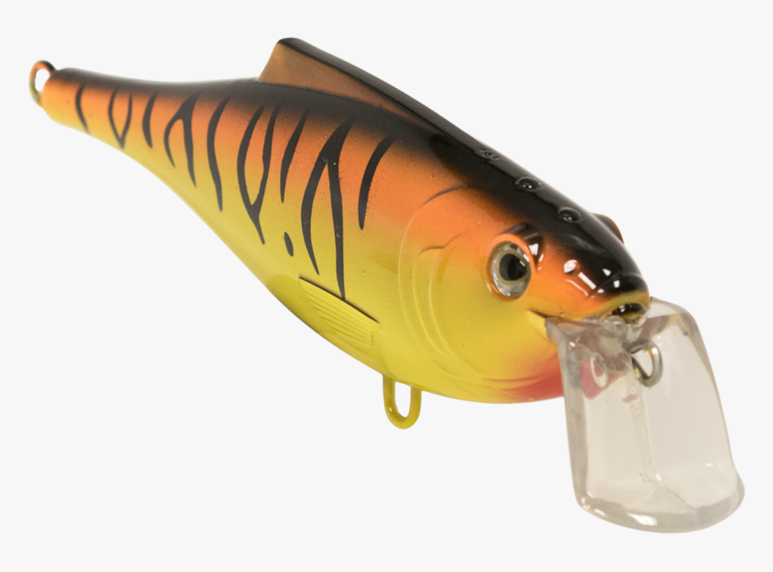 Fish Hook, HD Png Download