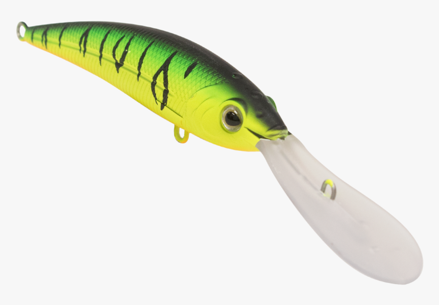 Bluehead, HD Png Download