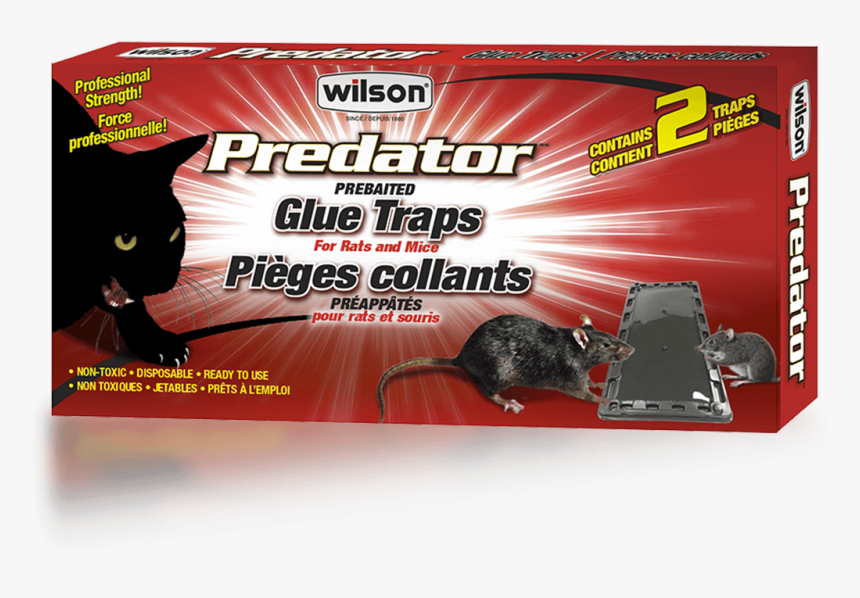 Wilson Predator Mice And Rats Glue Traps - Flyer, HD Png Download