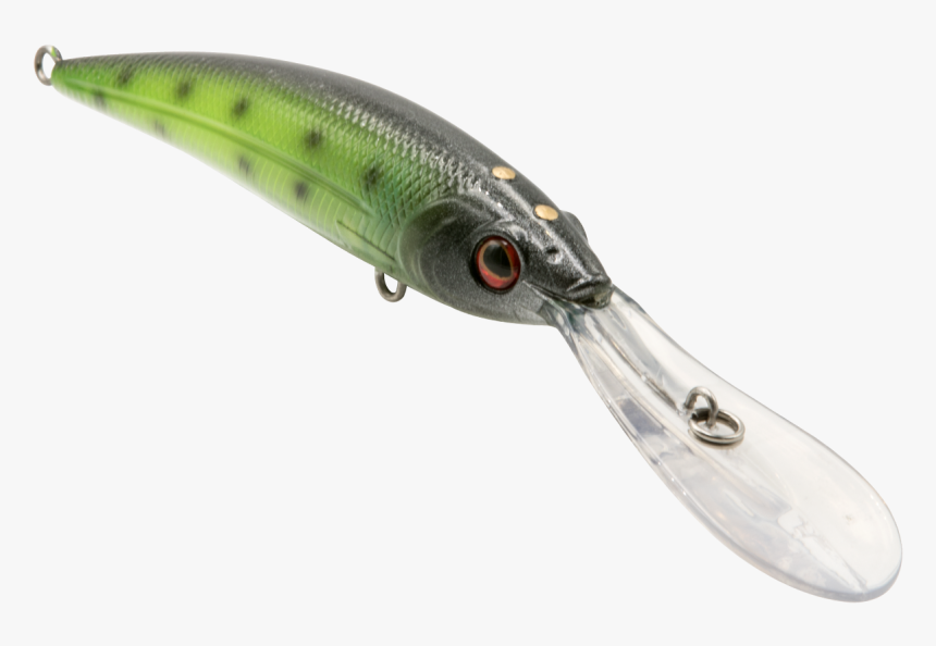 Tool, HD Png Download