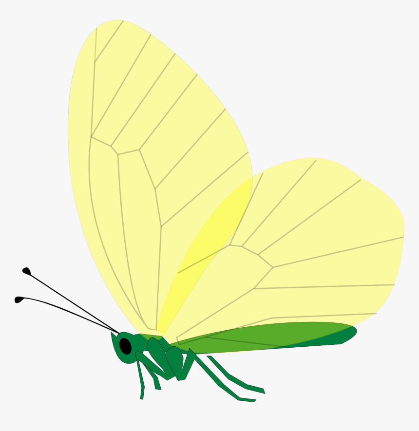 Borboleta Verde Voando Png, Transparent Png