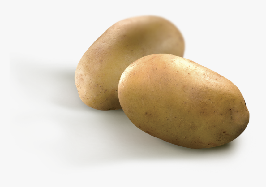 Transparent Potato Wedges Png - Yukon Gold Potato, Png Download