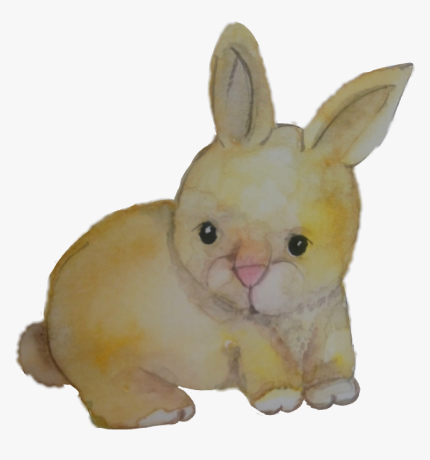 Baby Rabit Coelho Aquarela Watercolor Catarinazs - Domestic Rabbit, HD Png Download