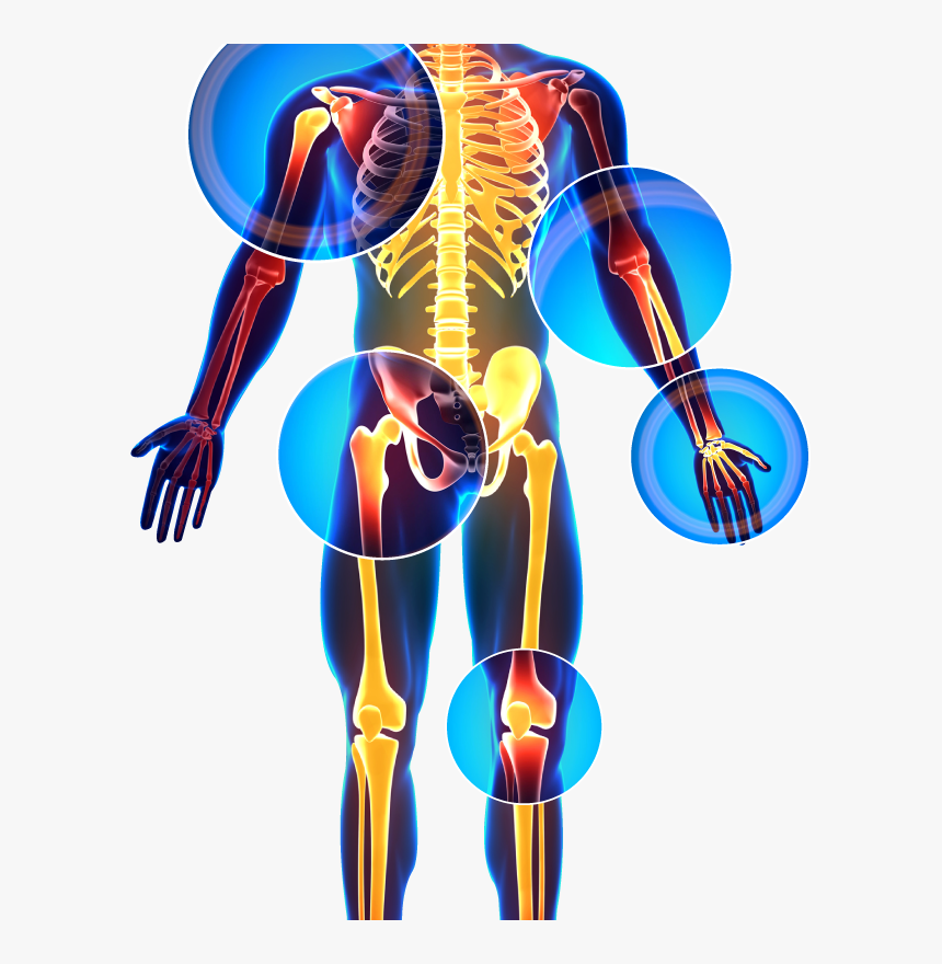 X-ray, HD Png Download