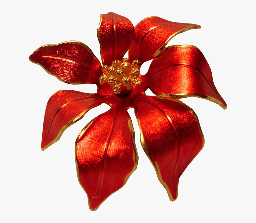 Poinsettia, HD Png Download