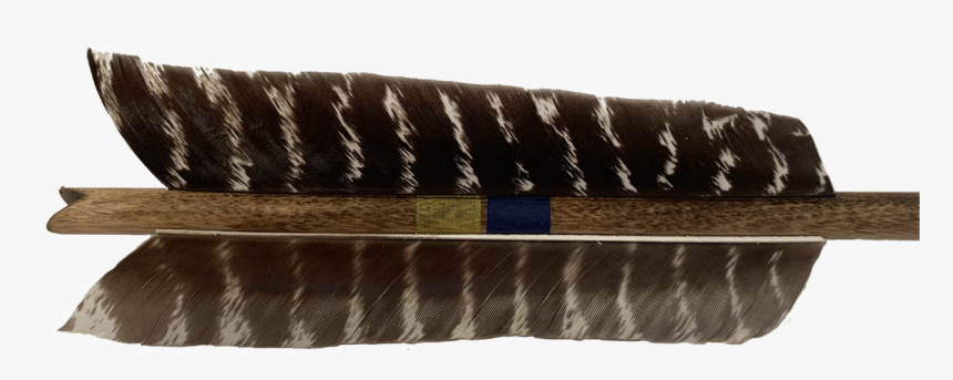 Extra Large, 6 Inch Naturally Banded Feathers - Scabbard, HD Png Download