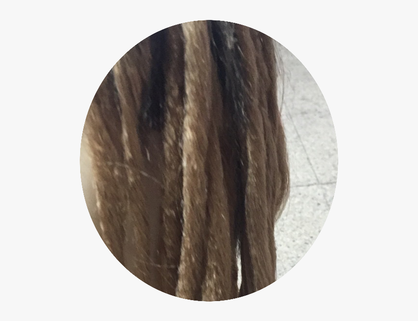 Dreadlocks Wig Png - Lace Wig, Transparent Png