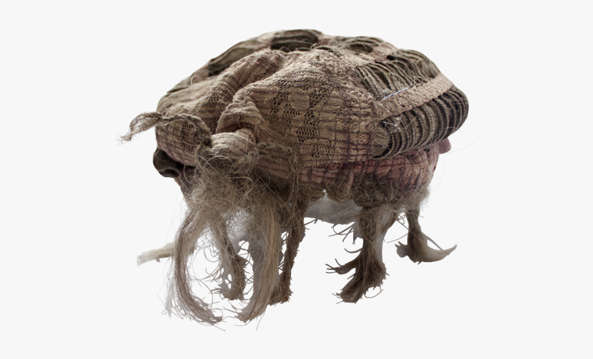 Hair Piece Paul Hazelton - Partridge, HD Png Download