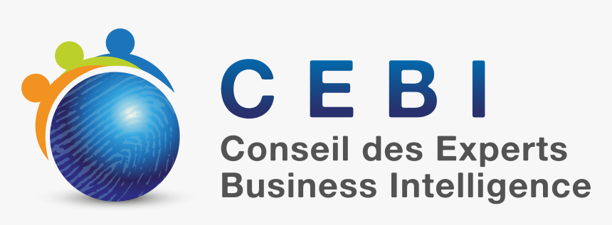 Conseil Des Experts Business Intelligence - Water Volleyball, HD Png Download