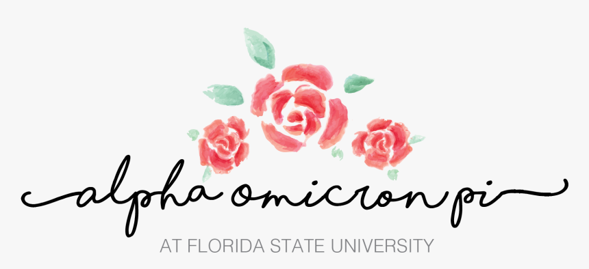 Transparent Florida Outline Png - Garden Roses, Png Download