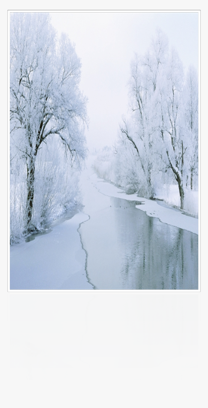 Beginning November Frosty Forest - Painting, HD Png Download