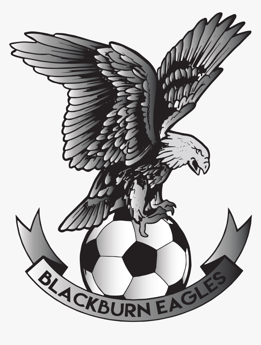 Pro Football Academy Futures - Blackburn Eagles Fc, HD Png Download