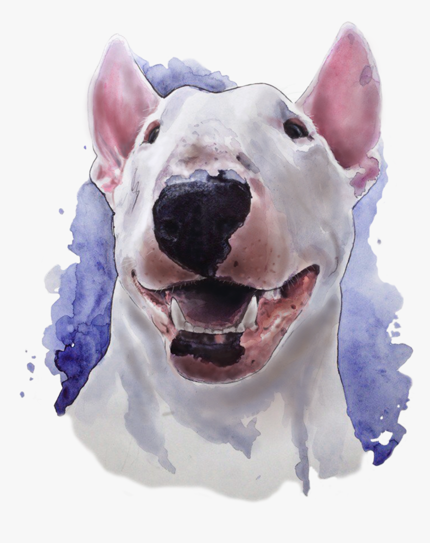 Bull Terrier, Watercolor - Watercolor Bull Terrier, HD Png Download