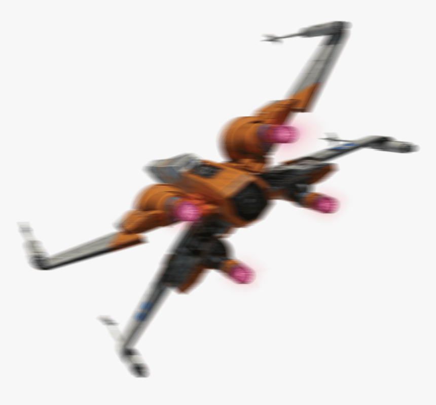 Insect, HD Png Download