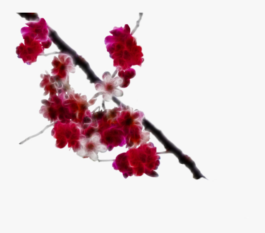 Transparent Japanese Cherry Blossom Png - Portable Network Graphics, Png Download