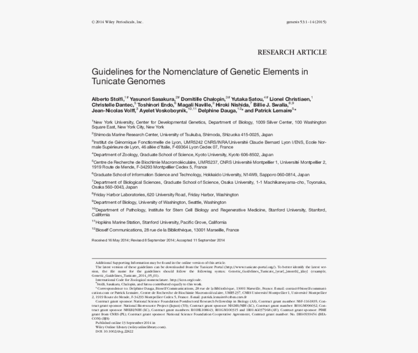 Світло Яке Ми Втратили, HD Png Download