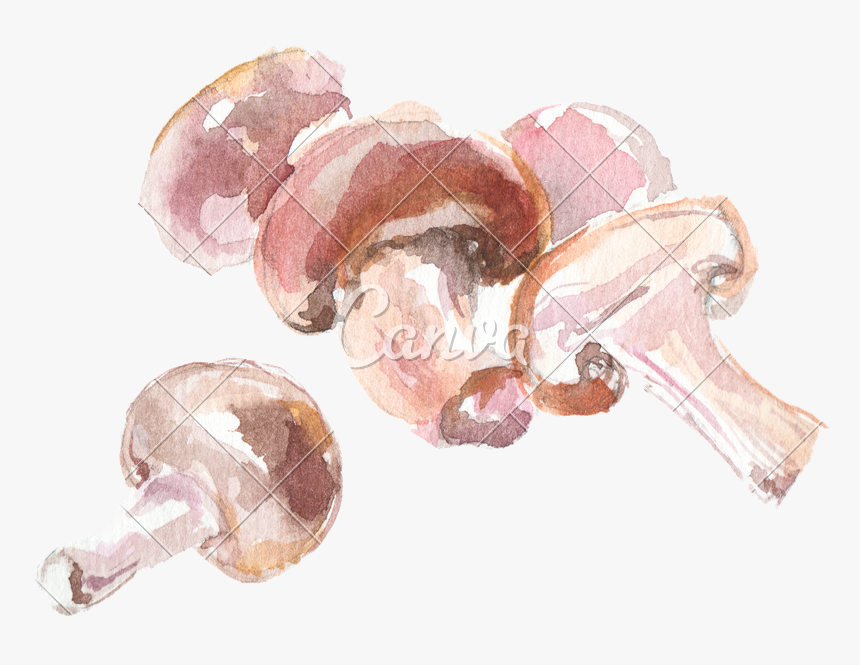 Transparent Trippy Mushroom Png - Watercolor Painting, Png Download