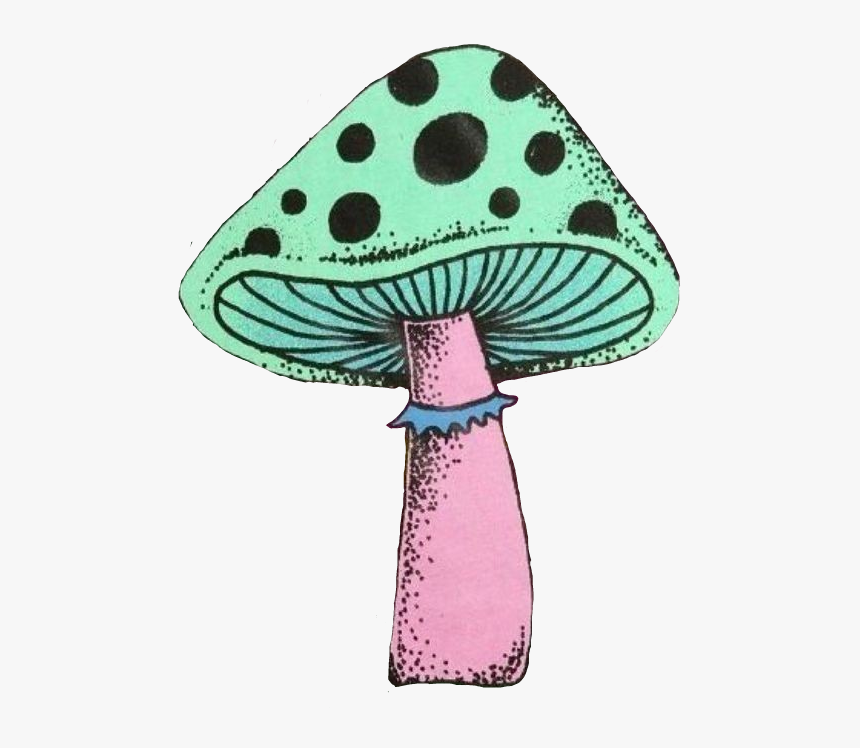 #trendy #mushroom #trippy #groovy #psychedelia #psychedelic - Edible Mushroom, HD Png Download