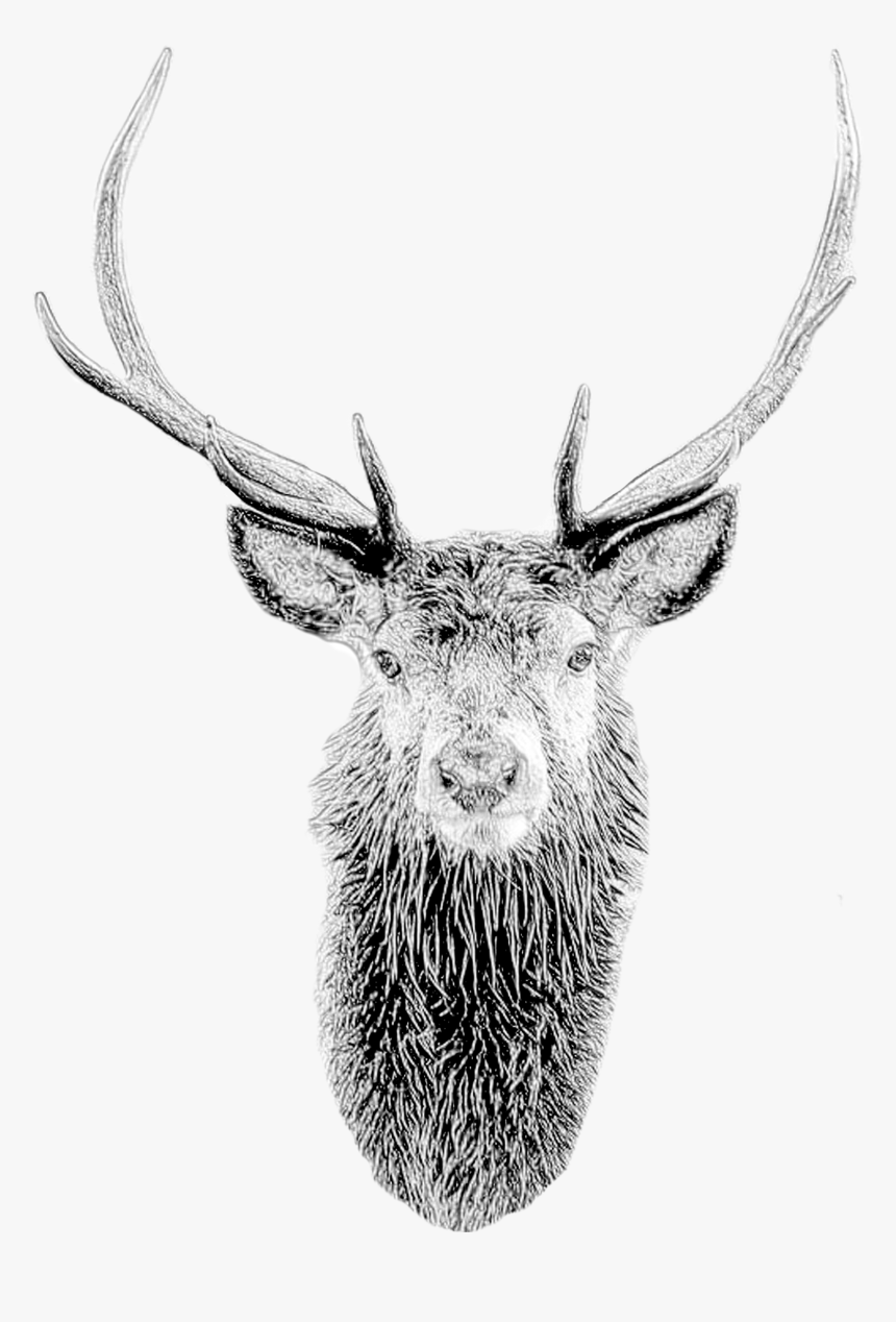 Deer Mask Deer Head Stag Mask Printable Diy Pdf Template Portable