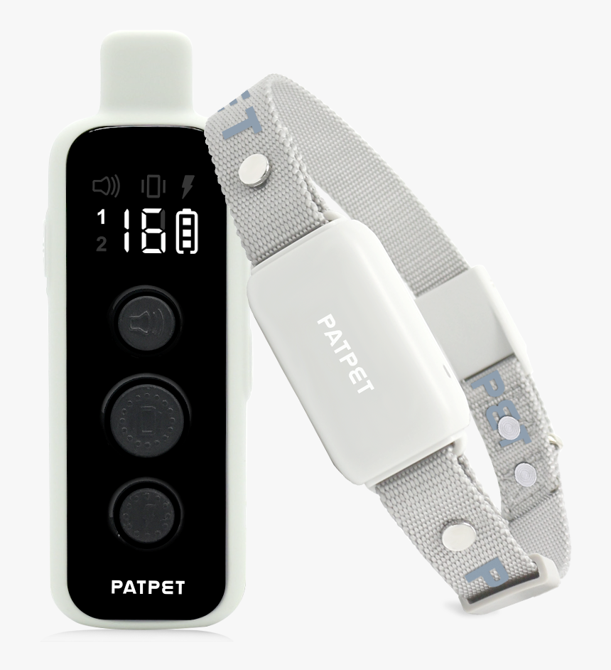 Dog, HD Png Download