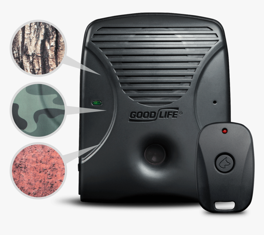 Coin, HD Png Download