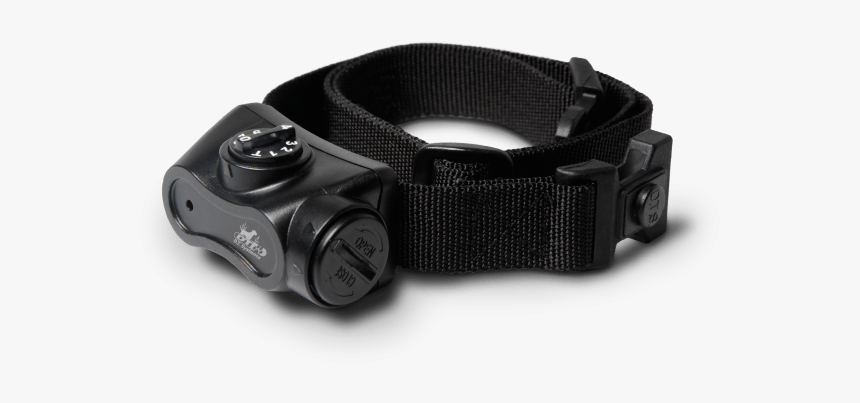 Bark Collar For Labrador - Strap, HD Png Download