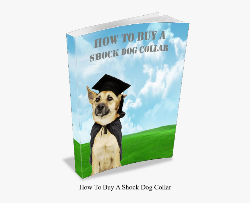 Puppy Training, HD Png Download