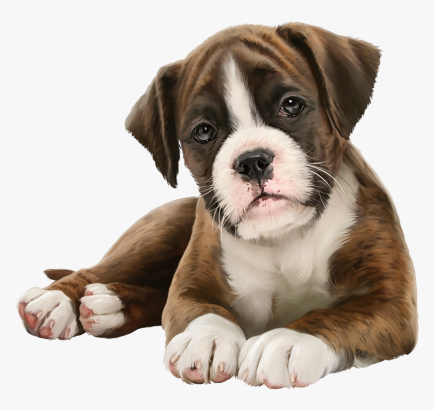 Puppy Lover, HD Png Download