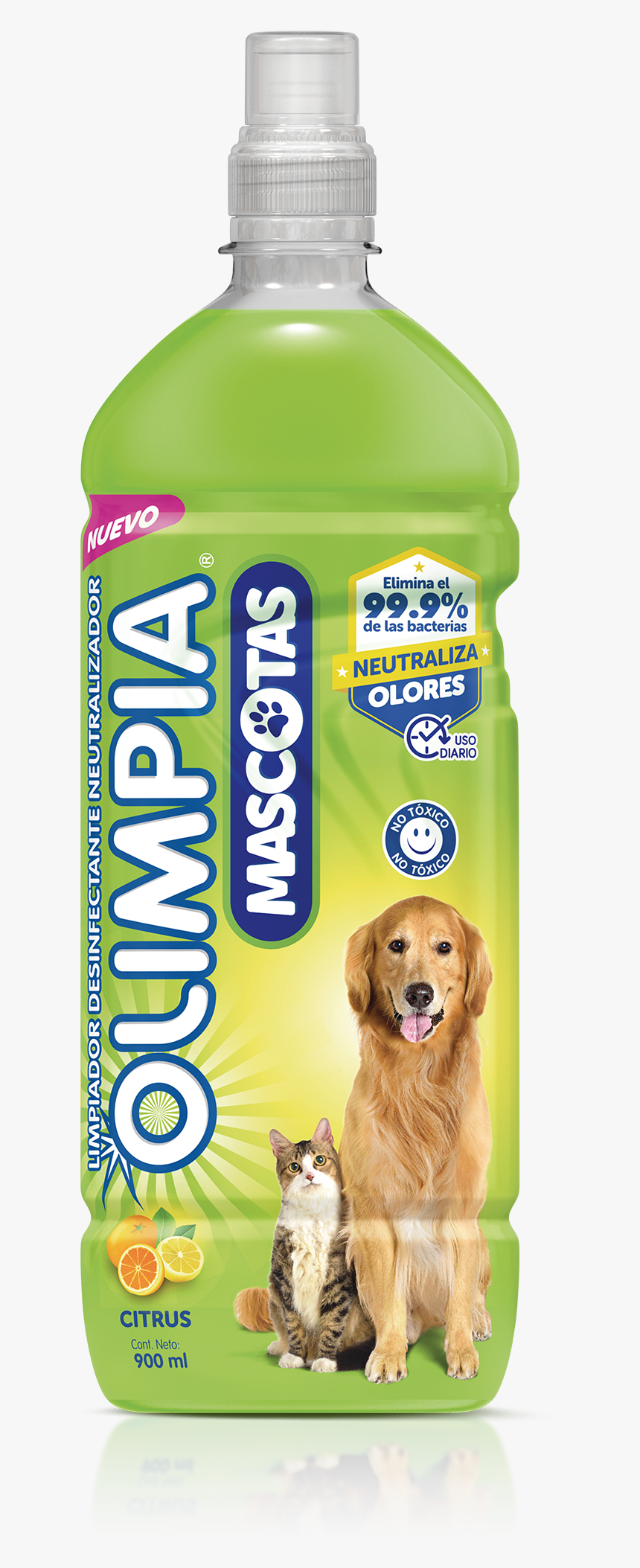 Nuevoproducto Olimpia Mascotas - Golden Retriever, HD Png Download