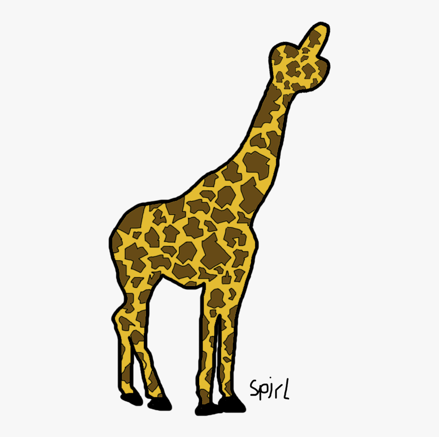 Giraffe, HD Png Download