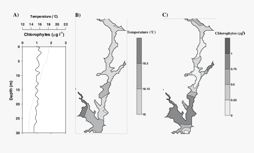Tree, HD Png Download
