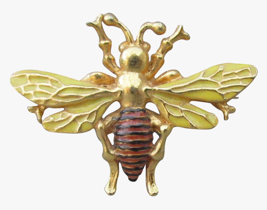 Vintage Bee Png - Honeybee, Transparent Png