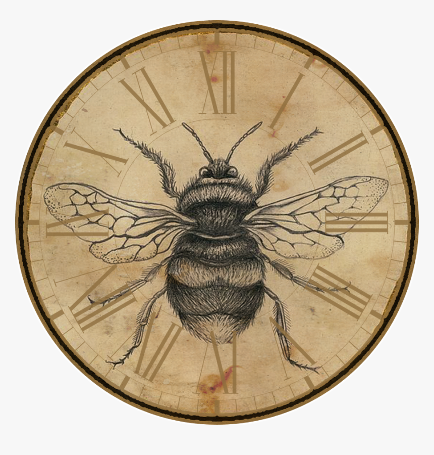 Bee, HD Png Download