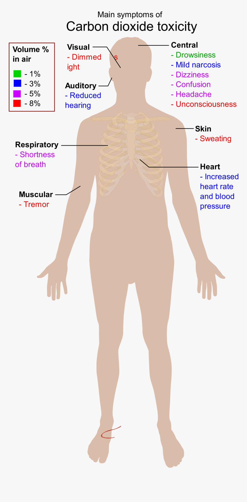 Main Symptoms Of Carbon Dioxide Toxicity Clip Arts - Main Symptoms Of Carbon Dioxide Toxicity, HD Png Download