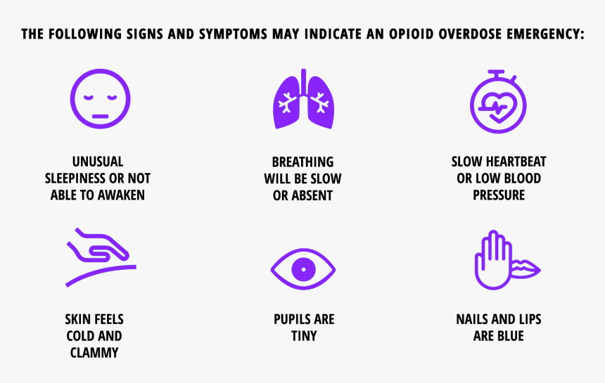 Signs And Symptoms Of Opioid Overdose Scottsdale Detox - Narcotic Overdose Symptoms, HD Png Download