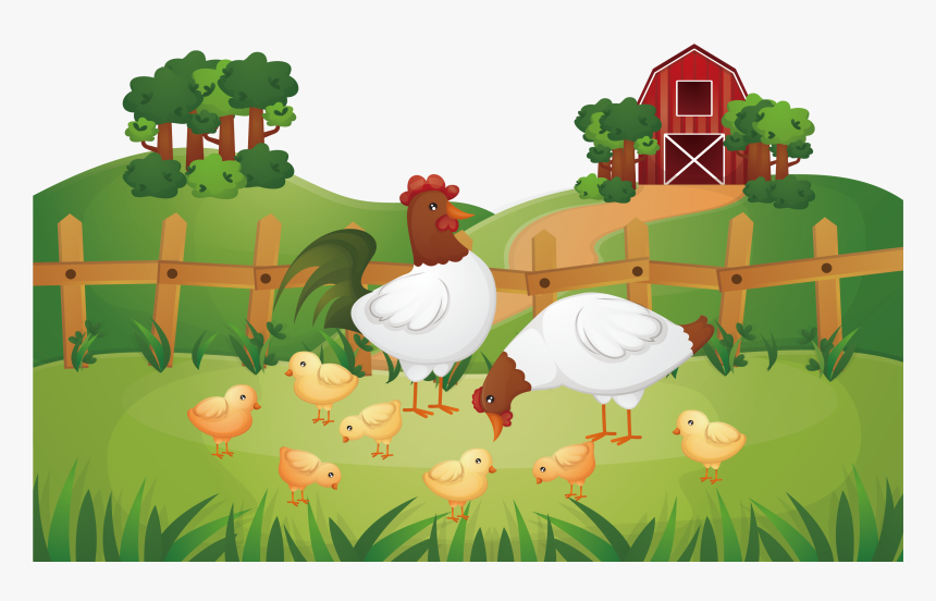 Animal Farm Chicken Rooster Poultry Farming - Poultry Farm Png, Transparent Png