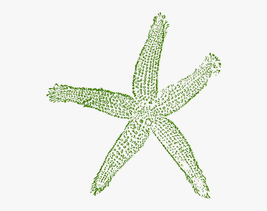Dark Green Starfish Svg Clip Arts - Blue Starfish Transparent Background, HD Png Download