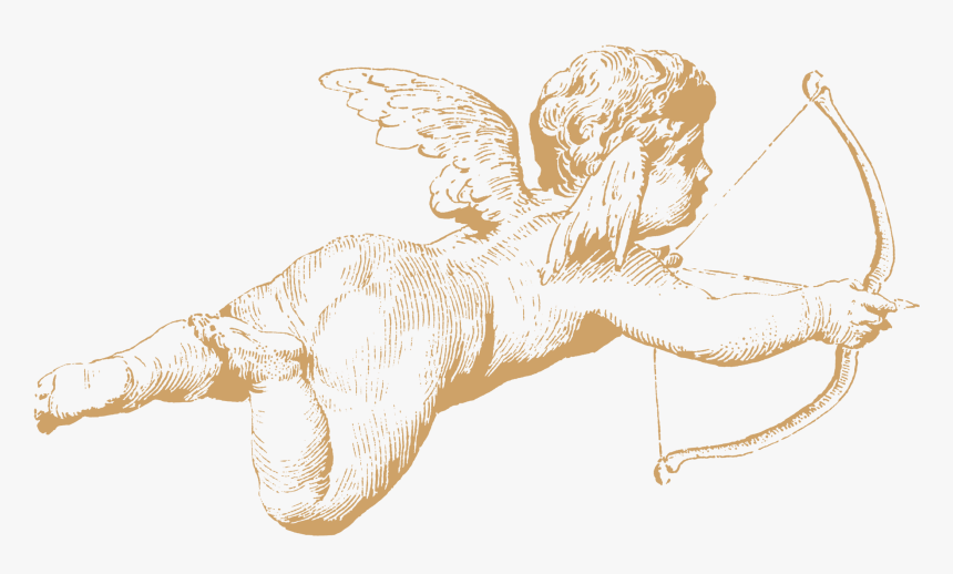 Transparent Cherub Wings Png - Cherub Drawing, Png Download