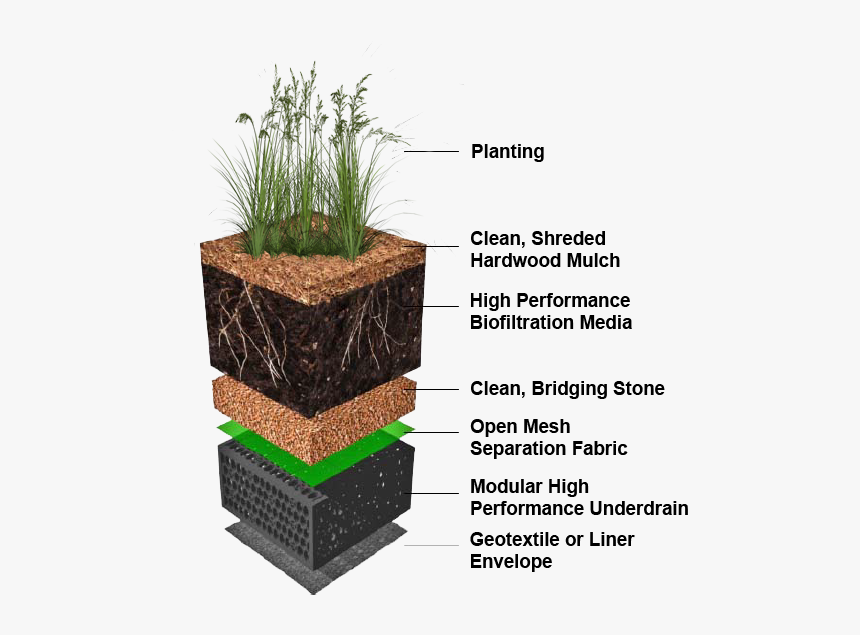 Sequential Sedimentation Biofiltration System, HD Png Download