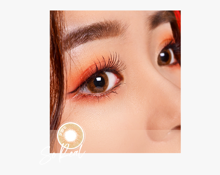 Close-up, HD Png Download
