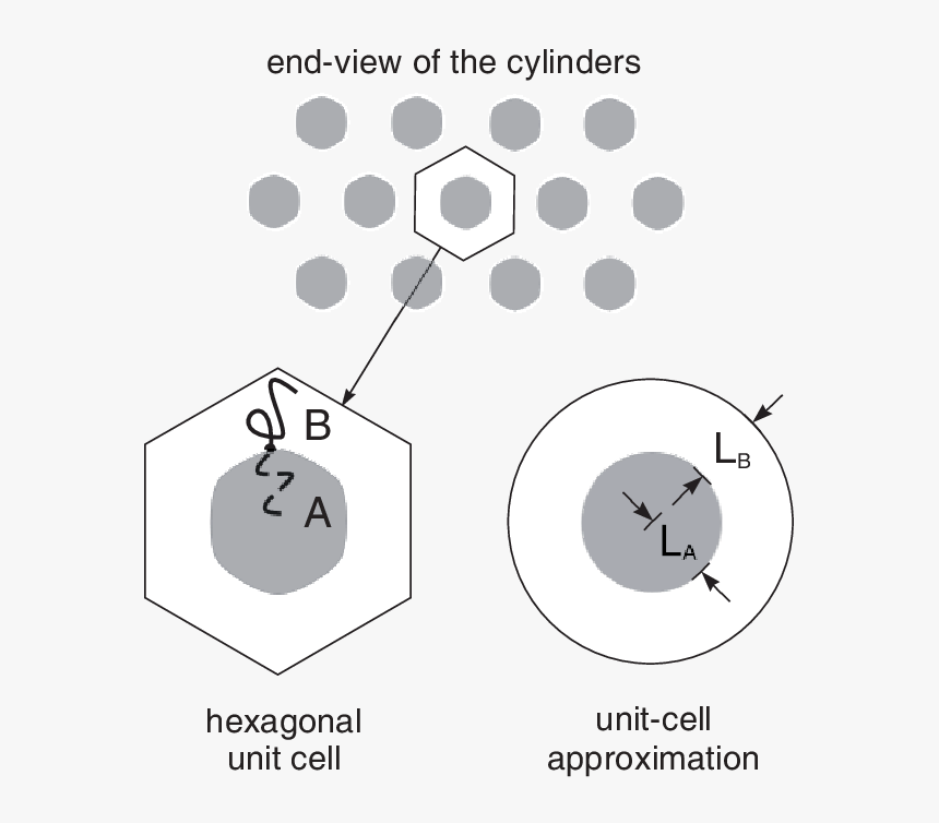 Transparent Meijiao Png - Circle, Png Download