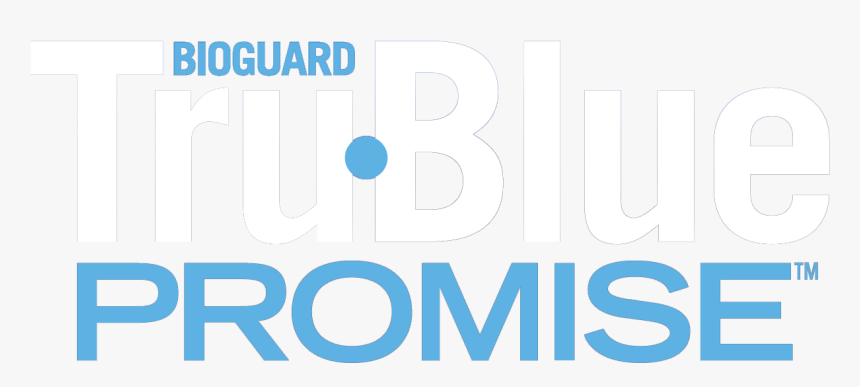 Poster, HD Png Download