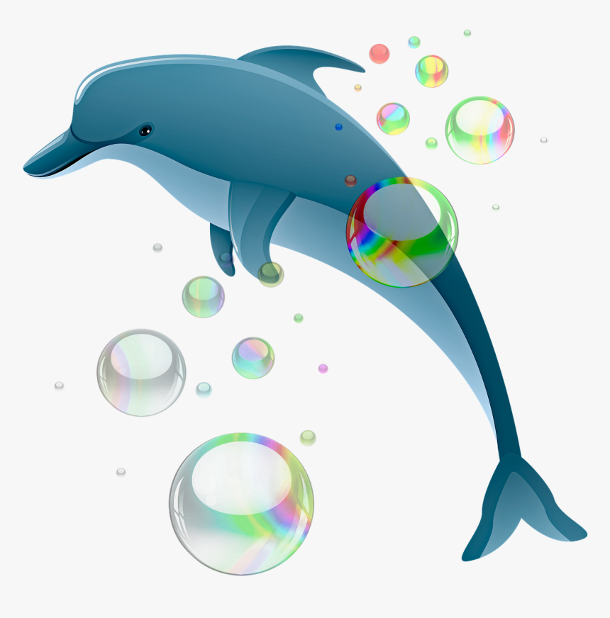 Bottlenose Dolphin Clip Art, HD Png Download