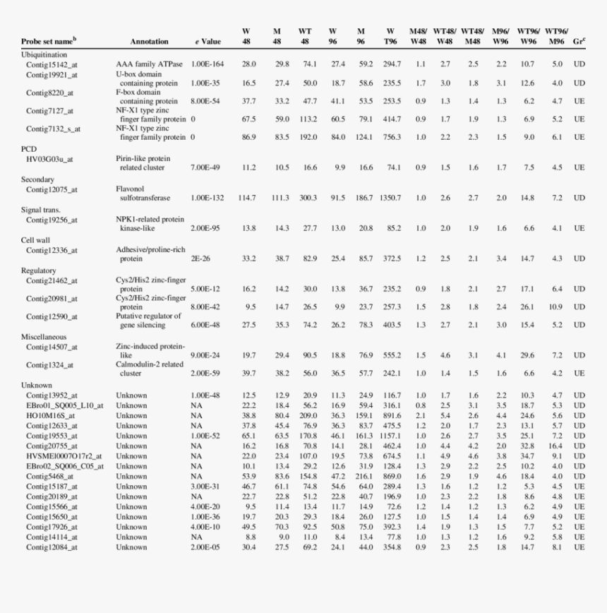 Document, HD Png Download