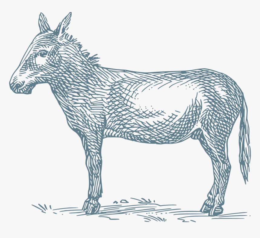 Donkey Grimms Fairy Tale, HD Png Download