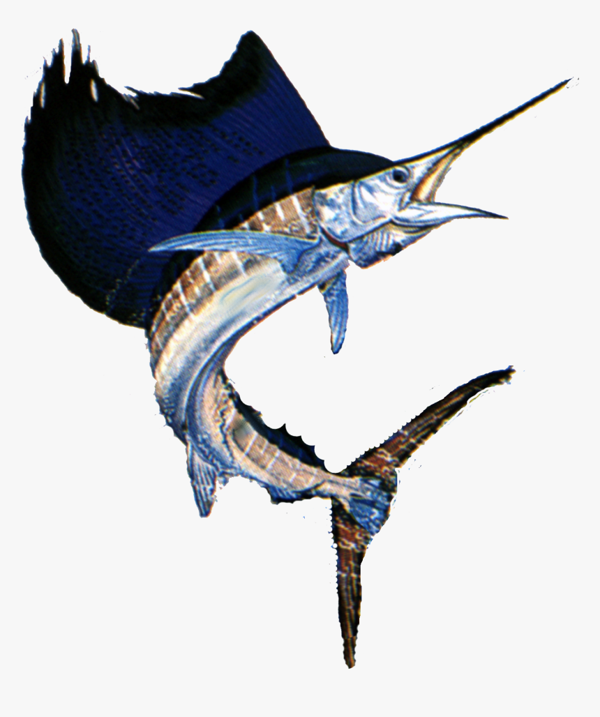 Failfish Transparent Taxidermy - Black Sailfish Transparent Background, HD Png Download